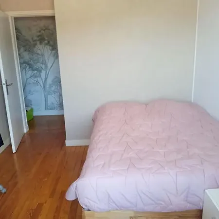 Appartement 83 M2 Renove Remiremont Esterno foto