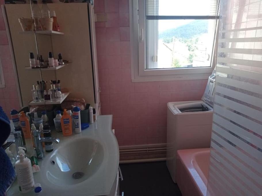 83 M2 Renove Remiremont